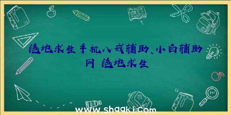 绝地求生手机八戒辅助、小白辅助网